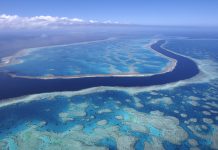 Great Barrier Reef on verge of another mass bleaching after highest temperatures on record